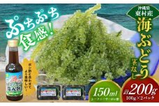 美ら海 沖縄県産 海ぶどうセット／茎なし200g（100g×2パック）ポン酢付 海ブドウ 海ぶどう うみぶどう パック 茎なし クビレズタ たれ付き 海鮮 海藻 プチプチ おつまみ 沖縄料理 ご当地 特産品 グルメ 人気 居酒屋 常温 沖縄県 東村