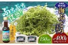 美ら海 沖縄県産 海ぶどうセット／茎あり400g（200g×2パック）ポン酢付 海ブドウ 海ぶどう うみぶどう パック 茎なし クビレズタ たれ付き 海鮮 海藻 プチプチ おつまみ 沖縄料理 ご当地 特産品 グルメ 人気 居酒屋 常温 沖縄県 東村