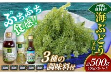 美ら海 沖縄県産 海ぶどうセット／茎なし500g（100g×5パック）＆調味料３種セット 海ブドウ 海ぶどう うみぶどう パック 茎なし ポン酢 ドレッシング たれ付き クビレズタ 海鮮 海藻 プチプチ おつまみ 沖縄料理 ご当地 特産品 グルメ 常温 沖縄県 東村