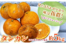 地元で愛されるみかん「タンカン」約5kg【2026年1月より発送】 たんかん みかん ミカン 柑橘 甘い 甘酸っぱい 果汁多め 爽やか フレッシュ 橙 オレンジ 南国 フルーツ ジューシー おいしい 冬 こたつ 濃厚 沖縄 東村