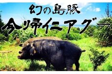 産直「今帰仁アグー」まるごと一頭分（約31kg）分割配送は最大4回まで可能です。