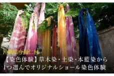 【染色体験】草木染・土染・本藍染から1つ選んでオリジナルショール染色体験　1名様