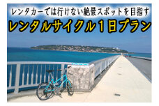 レンタカーでは行けない綺麗な所を走りたい！レンタサイクル1日プラン
