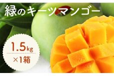緑のキーツマンゴー1.5㎏以上【2025年8月〜9月頃発送】生産者直送