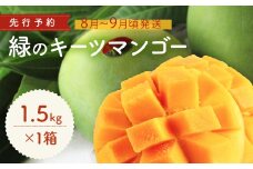 緑のキーツマンゴー1.5㎏【2026年8月～9月頃発送】生産者直送　先行予約