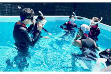 PADI オープンウォーターダイバー（OWD）取得コース♪1名様※ビーチのみ