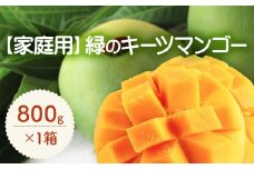 【家庭用】緑のキーツマンゴー800g以上【2025年8月〜9月頃発送】