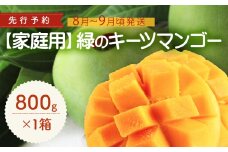 【家庭用】緑のキーツマンゴー800g【2026年8月～9月頃発送】 先行予約