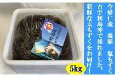 今帰仁村　古宇利島産　養殖　塩もずく　大容量5㎏