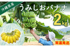 【先行予約 限定50個】うみしおバナナ 2kg 【2025年8月～10月頃に配送】 今帰仁村産 アップルバナナ
