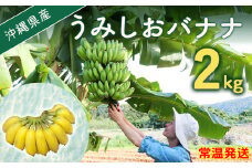 【先行予約 限定50個】うみしおバナナ 2kg 【2025年8月～10月頃に配送】 今帰仁村産 アップルバナナ