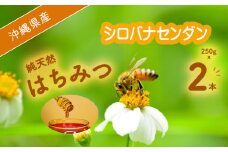 沖縄県産　純天然はちみつ（シロバナセンダン草　2本入り）
