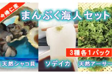 まんぷく海人セット(シャコ貝・ソデイカ・アーサー）各1パック
