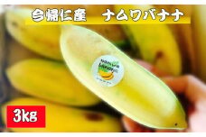 今帰仁村産ナムワバナナ（農薬不使用）3kg