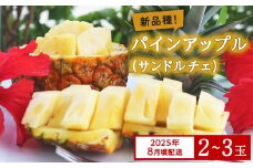 【限定100セット】今帰仁産パインアップル（サンドルチェ）2～3玉【2025年8月頃配送】