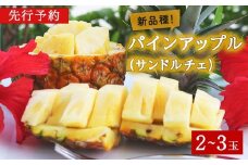 【2026年7月～8月頃配送】今帰仁産パインアップル（サンドルチェ）2～3玉