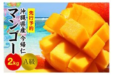 今帰仁マンゴーA級2kg以上【先行予約】【2026年6月中旬～8月中旬頃発送】生産者直送
