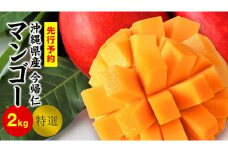 今帰仁マンゴー特選2kg以上【先行予約】【2026年6月中旬～8月中旬頃発送】生産者直送