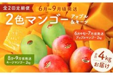 【定期便】今帰仁2色マンゴー（赤・緑）【先行予約】【2026年　赤：6月中旬～7月頃　緑：8月～9月頃発送】生産者直送