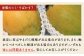 【定期便】稀少3色マンゴー（赤・黄・緑）【赤：6月中旬~7月頃　黄：7月中旬～8月中旬頃　緑：8月～9月頃発送】生産者直送