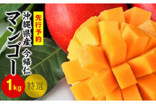 今帰仁マンゴー特選1kg以上【先行予約】【2026年6月中旬～8月中旬頃発送】生産者直送