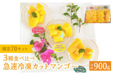 急速冷凍カットマンゴー　3種食べ比べセット（限定70セット）【沖縄県今帰仁村産】