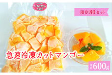 急速冷凍カットマンゴー　アップルマンゴー（限定80セット）300ｇ×2　【沖縄県今帰仁村産】