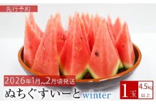 先行予約【JAおきなわ】厳選すいか！ぬちぐすいーとwinter　【2026年1月～2月頃発送】