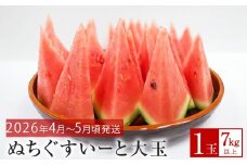 【JAおきなわ】厳選すいか！ぬちぐすいーと　大玉７㎏以上【2026年4月～5月頃発送】先行予約