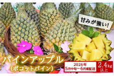 【先行予約】【2026年5月中旬～6月頃配送】今帰仁産パインアップル（ポコットパイン）2.4㎏以上