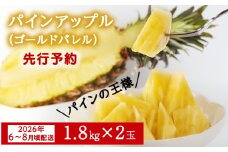 【2026年6～8月頃配送】【限定70箱】今帰仁産パインアップル（ゴールドバレル）1.8㎏×2玉　先行予約