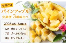 【定期便　限定100セット】今帰仁産パインアップル3種味比べセット【2026年6月・7月・8月　3回配送】先行予約