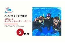 チケット PADIダイビング講習 ｜ 入門OWDコース（2日間eラーニング）2名【恩納村ラグーン】