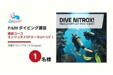チケット PADIダイビング講習 ｜ エンリッチコース（eラーニング）【恩納村ラグーン】