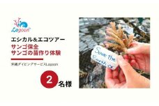 チケット サンゴ苗作り体験 ｜ 2名 or 1名×2株 沖縄サンゴの村【恩納村ラグーン】