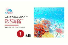 チケット【参加特典付き貸切オンラインツアー】沖縄から自然環境を学ぶ！サンゴの不思議【恩納村ラグーン】