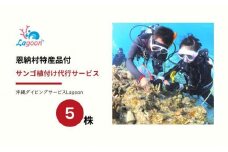 チケット サンゴ植付け ｜ 代行サービス 5株【恩納村ラグーン】