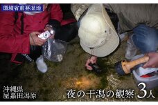 【環境省重要湿地】【屋嘉田潟原】夜の干潟の観察（3人）
