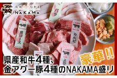 琉球焼肉NAKAMA　県産和牛4種、金アグー豚4種のNAKAMA盛り　ご利用券