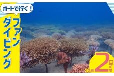 ボートで行く！ファンダイビング（2Dive）