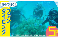 ボートで行く！ファンダイビング（5Dive）