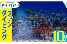 ボートで行く！ファンダイビング（10Dive）