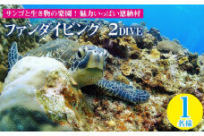 サンゴと生き物の楽園！魅力いっぱい恩納村ファンダイビング（２DIVE）1名様
