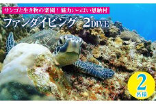 サンゴと生き物の楽園！魅力いっぱい恩納村ファンダイビング（２DIVE）2名様