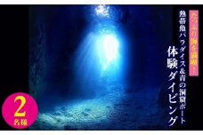 たっぷり海を満喫！熱帯魚パラダイス＆青の洞窟ボート体験ダイビング2名様