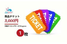 チケット 沖縄ダイビングサービス Lagoon商品券「3,000円分」【恩納村ラグーン】