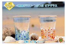 ＜琉球ガラス＞ つぶつぶ ビアグラス 2種×各1個 セット
