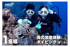 青の洞窟 体験ダイビング（ボート）1名様 ふるさと納税限定！｜青の洞窟 ダイビング チケット 券 金券 恩納村 沖縄 人気 おすすめ 送料無料