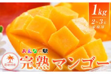 マンゴー 2025年発送【限定】完熟マンゴー 1kg（2～3玉） ご家庭用 おんなの駅（恩納村産）