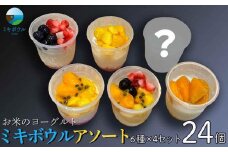お米のヨーグルト24個「ミキボウル」アソート（6種×4セット）｜菓子 スイーツ フルーツ デザート スーパーフード ミキ 米麹 乳酸菌 発酵食品 伝統製法 沖縄 食品 人気 おすすめ 送料無料